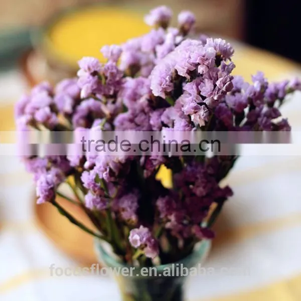 Factory Directly Sale Flower Bouquet Holder Statice Popular Fresh Flower for Anniversary photo-5