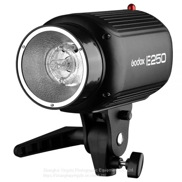 Godox E Series 250W Studio Flash for Photography(250WS Professional Studio Flash Light) photo-3