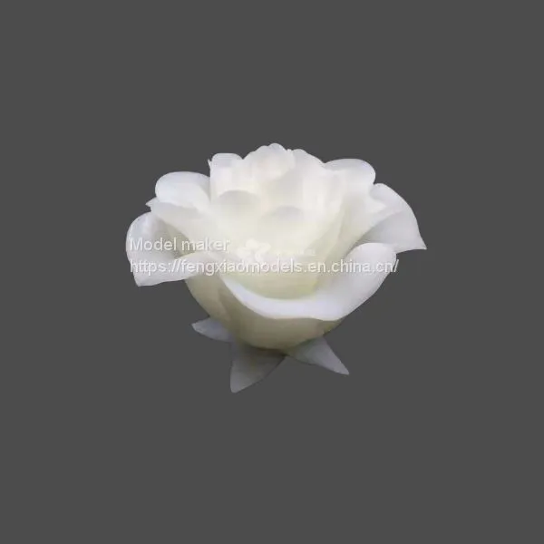 What Can be Printed by 3D Printing? photo-2