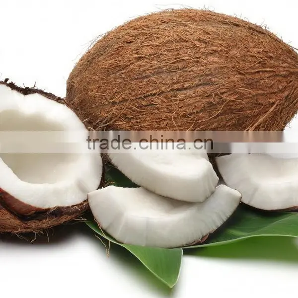 Best Price Fresh Coconut for Export From Vietnam/ Fresh Young Coconut photo-3