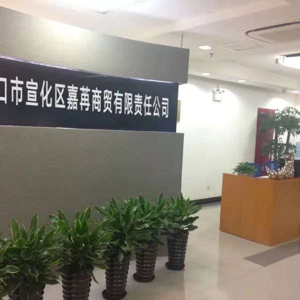 Zhangjiakou Xuanhua Jiaran Trading Co., Ltd company overview - view 1