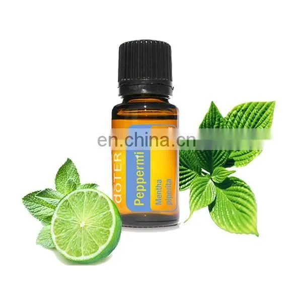 CHINA Factory Flower Essential Oil Distillation Extractor Extraction Machine photo-4
