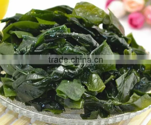 Frozen Seaweed Price Salted Kelp Knot