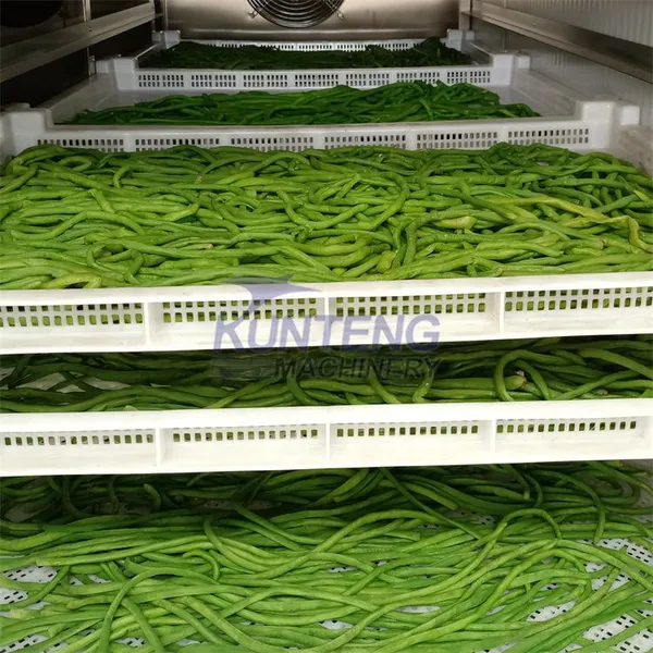 Automatic Green Beans Palm Kernel Date Palm Chicken Drying Machine EPC photo-3