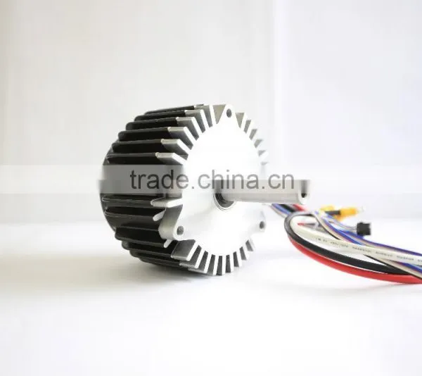 300w 24v Small Home Lawn Mower Hub Motors photo-5