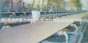 Polyester Conveyor Belt / Roller Conveyor Belt