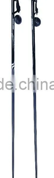 Ski Pole