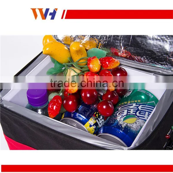 Portable Outdoor Holiday Mini Car Refrigerator photo-6