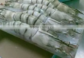Frozen Black Tiger Shrimp