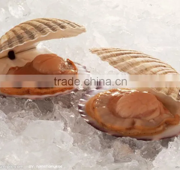 High Quality Fresh Keeping Plate Ice Machine photo-3