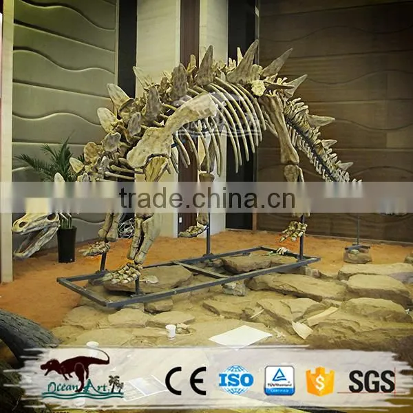 Life Size Dinosaur Fossil For Sale Inside Exhibition Display photo-6