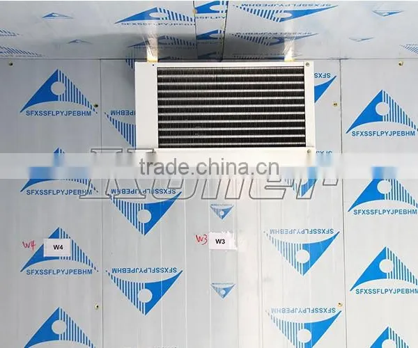 Easy Installation Cold Chiller Room With Mono Block Condensing Unit photo-4