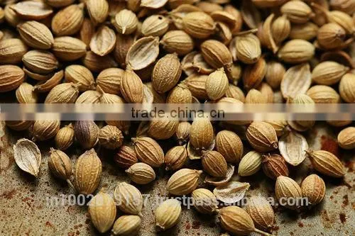 Coriander Seeds