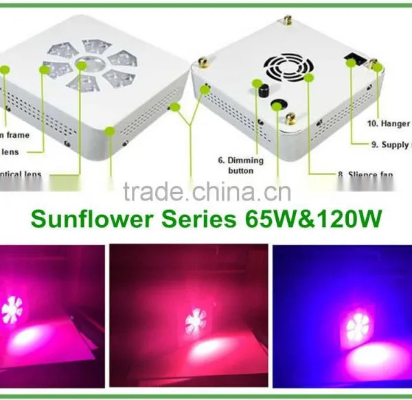 China Factory Outdoor Lighting Flood Light Spotlight 85lm/w With CE ROSH SAA UL Approval photo-2