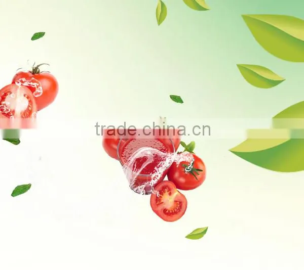 Made in China Ketchup Export Saudi Arabia Canned Tomato Sauce 70g 198g Tomato Paste photo-5