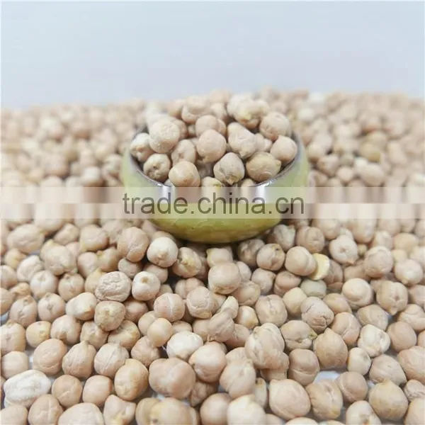 Best Quality Chickpea Market Price HPS White Chick Pea Beans photo-4