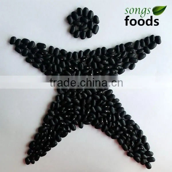 Dried Black Kidney Beans Chinese Black Bean