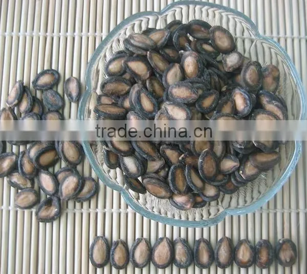 Delicious Colorful Watermelon Seeds photo-3