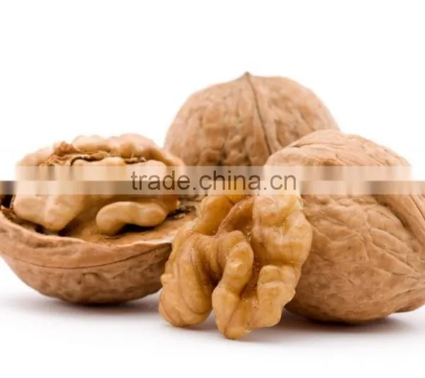 2016 Chinese Hot Selling Walnut Kernel With Top Quanlity/Wholesale Walnuts photo-2