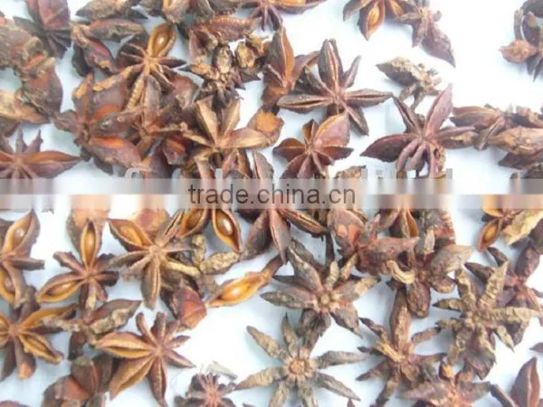 Star Aniseeds Stemless