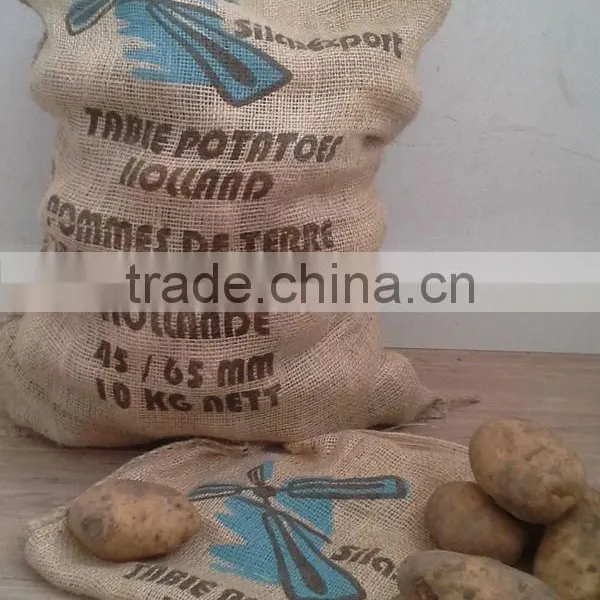 Dutch Potatoes/Pomme de Terre Hollandais photo-2