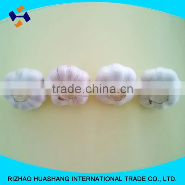 Red Fresh Garlic Size4.0cm photo-5