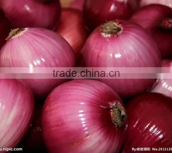 FX-128-3A Full Automatic Onion Skin Removal Machine(Whatsapp:+0086-15123231520) photo-6
