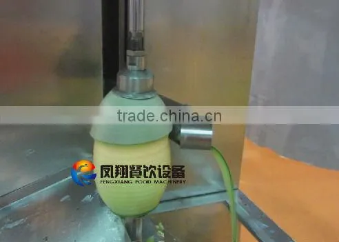 Industrial Automatic Citrus Pomelo Grapefruit Peeler Peeling Machine photo-2