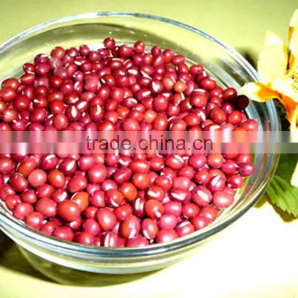JSX Hand Picked Red Bean Soup Greatest Export Red Kidney Beans photo-2
