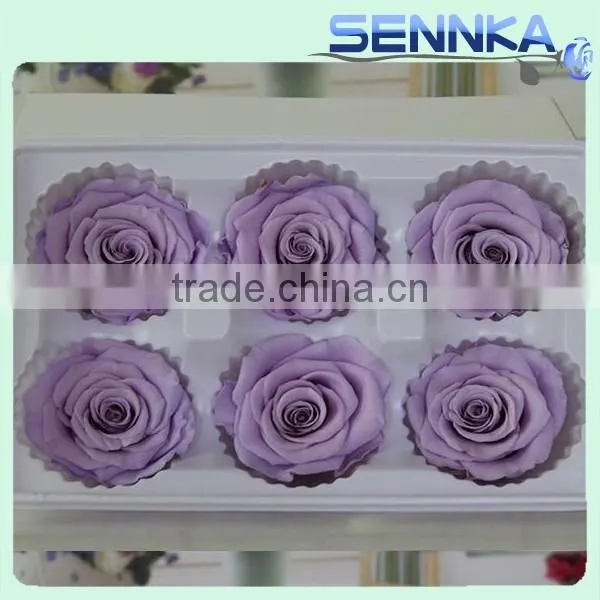 High Quality Pretty Color Preserved Rose Flower in New Products 2016 photo-6