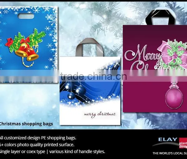 Customizable Shopping Bags photo-5