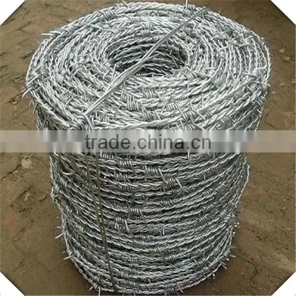 Hot Sale Barbed Wire Price / Galvanized Barbed Wire Factory photo-5