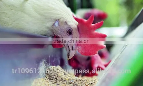 MINISTAR 2000 Animal Feed Factory / Chicken Feed Factory / Powder Feeding Machine photo-3