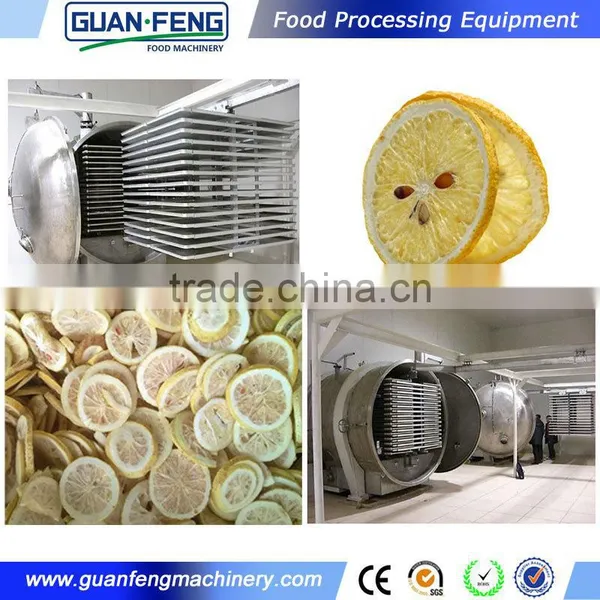 Vacuum Freeze Drying Machine For Fruits Stainless Steel Machine photo-3