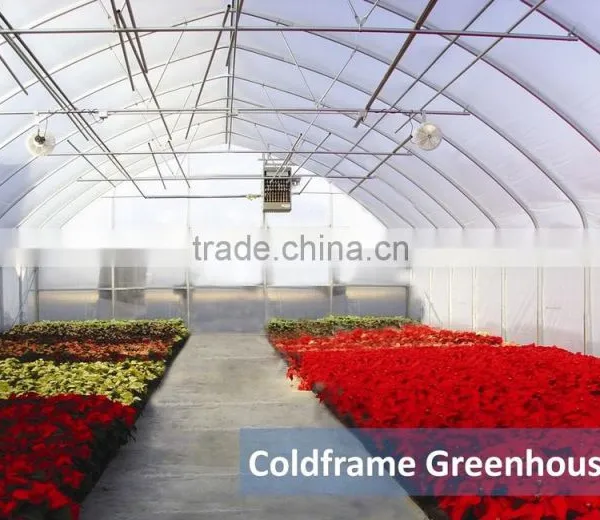 Plastic Greenhouse Single Span Greenhouse Structure photo-2