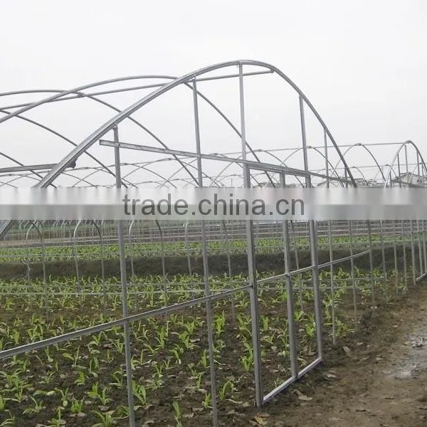 Polythene Film Solar Greenhouse For Vegetables photo-4
