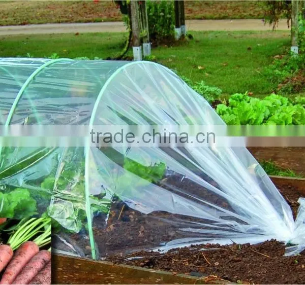 Garden Used Agricultural Greenhouse Tunnel Film on Sale photo-2
