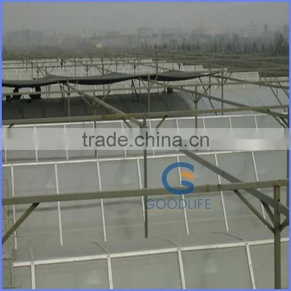 Goodlife Polycarbonate Sheet for Greenhouse photo-6