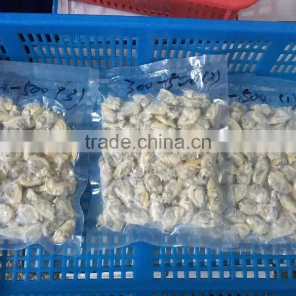 High Quality Frozen Short Necked Clam Meat photo-4