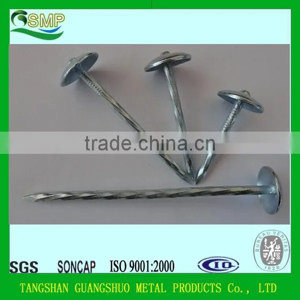 Q195 Galvanised Umbrella Roofing Nails With Rubber Washer From Factory photo-4