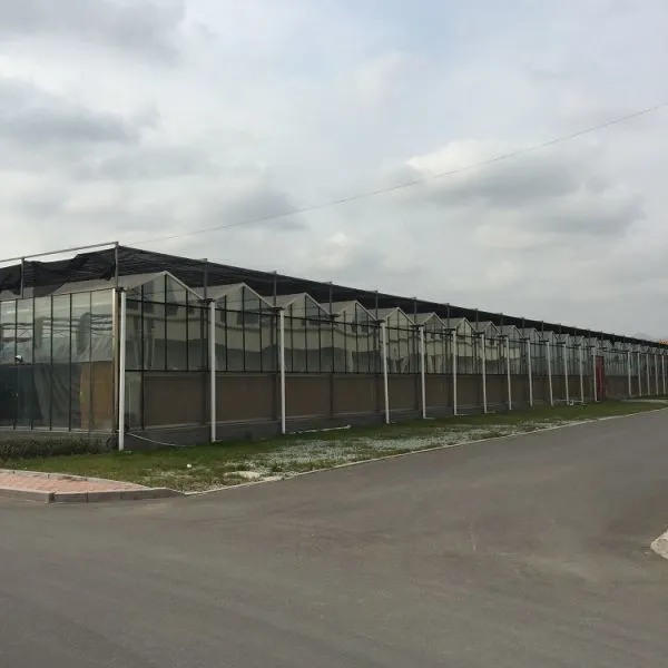 Venlo Glass Greenhouse Agricultural Multi-span Glass Greenhouse photo-4