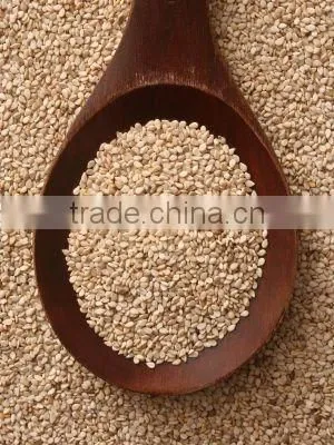 PREMIUM INDIAN SESAME SEED photo-3