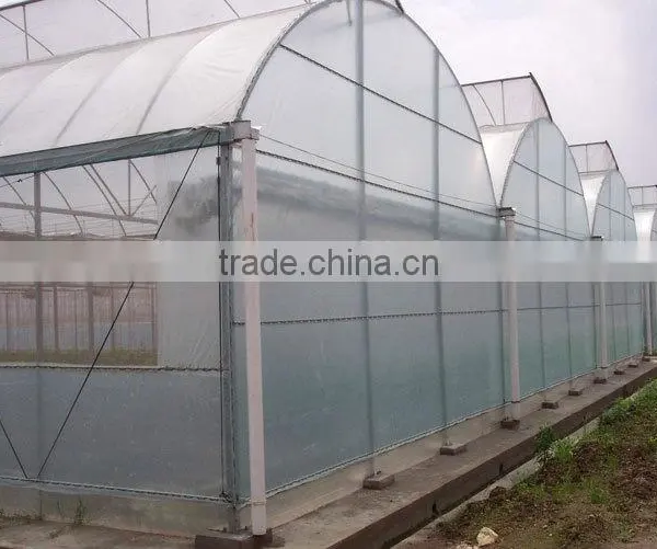 Double Layer Inflated Poly Film Greenhouses photo-2