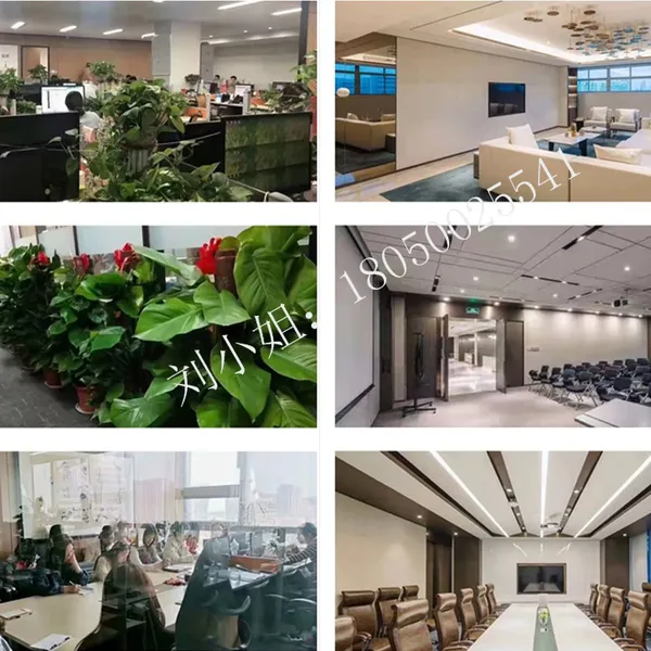 Xiamen Xiongba E-Commerce Co., Ltd. company overview - view 4