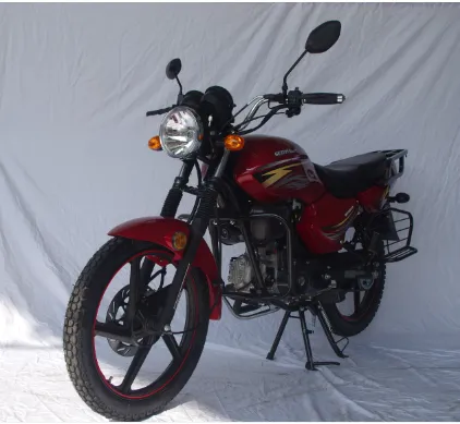 50CC 100CC Street Bike Professional Motorcycles for Russia Motorcycle Sidecar photo-2
