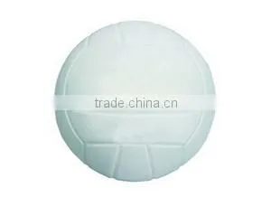 Volley Ball in White Color