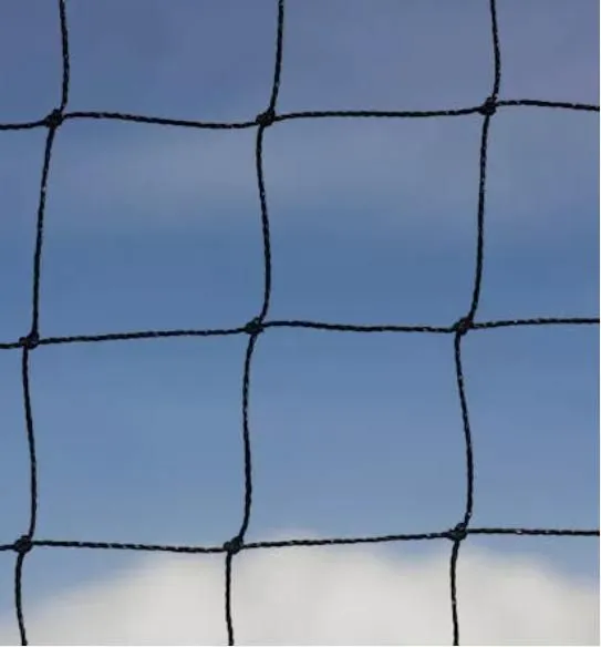 Anti Bird Net 38mm Poultry Game Pheasant 1.5