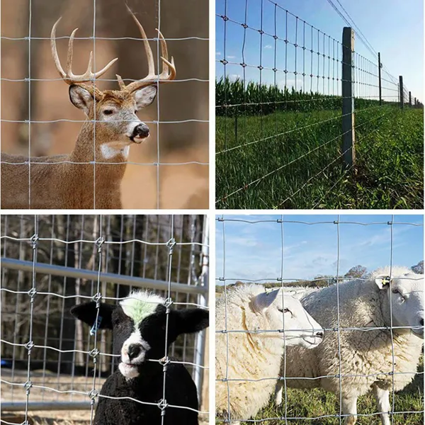 Heavy-Duty Galvanized Cattle Fence Panels for Secure Farm and Livestock Protection photo-5