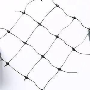 Factory Price Black PP Mesh Bird Netting Deer Net Suppliers From China