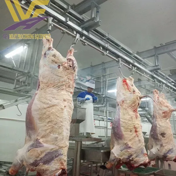 Cow Halal Abattoir Machinery Beef Slaughter Line HACCP Butcher Equipment Cattle Processing Workshop Factory Supply